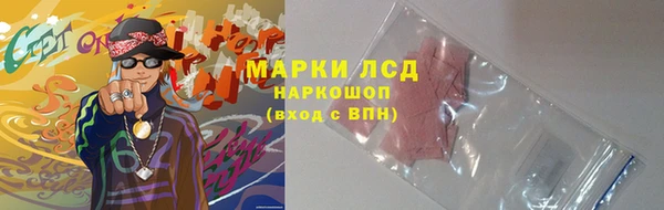 гидра Абаза