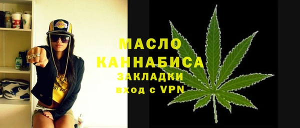 гидра Абаза