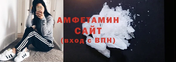 гидра Абаза