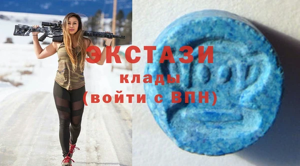 гидра Абаза