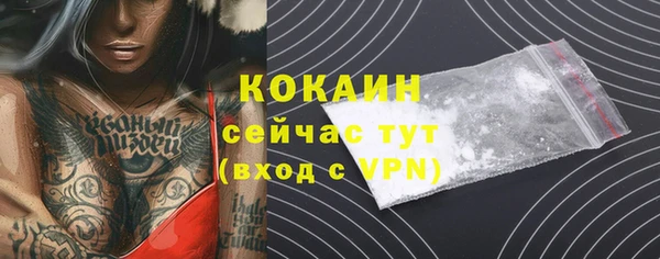 гидра Абаза