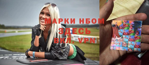гидра Абаза
